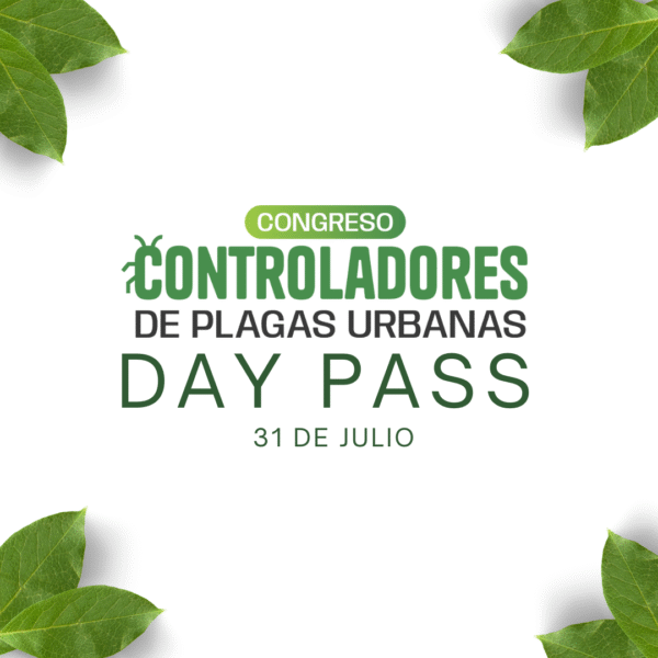 ACCESO DÍA 2